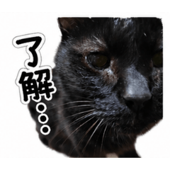 tome77777_20260506140236