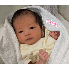 ichiken_20260506140743