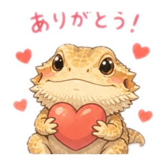 CACAO_20260506141155