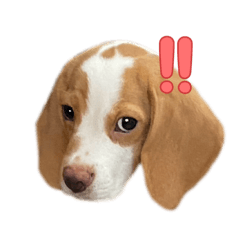 kyo_20260506222434