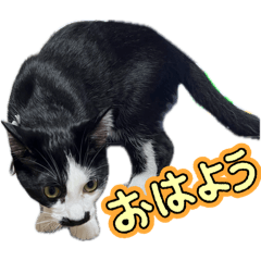 GINCHAN_20260507122114