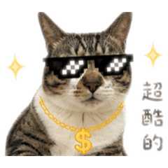 糖糖的生活貼圖