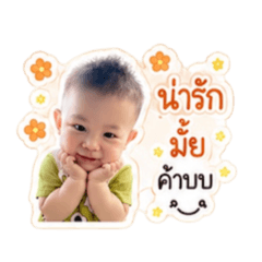 pla_20260428151154