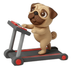 my pugpy (no text) #8