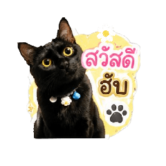 Panter Cat by tennis.chanan