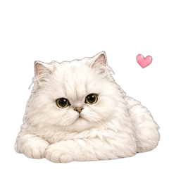 A Lovely Kitty Lulu