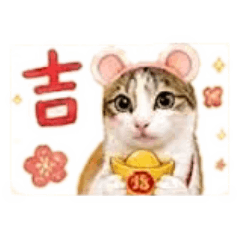 傲嬌妹～可可貓12生肖