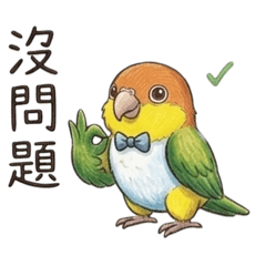 凱克鸚鵡阿迪的社畜禮貌日常