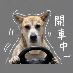 嚴小花