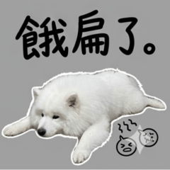 MADOU_DAILY LIFE