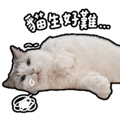 波波大人日常２-new