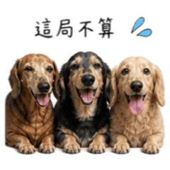B Yo Mei 的幹話日常