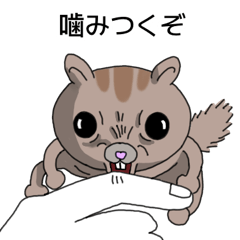 Super Grumpy Flying Squirrel