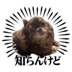 nutyou_20260506060917