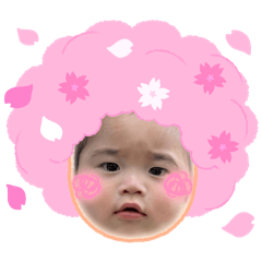 renji_kaho20260506