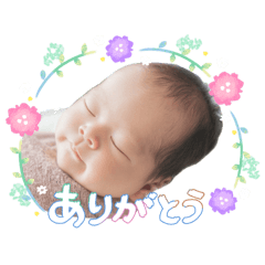 papa_20260506070844