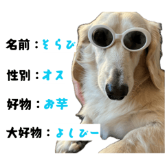 AKARI_20260506142934