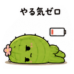 anzu_20260506065506