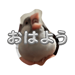 shosei_20260506143855