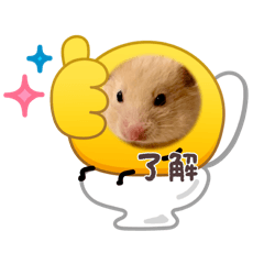 aimu_20260506143616