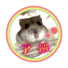lamitiator_20260506143534