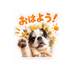 Leomama_20260506144152