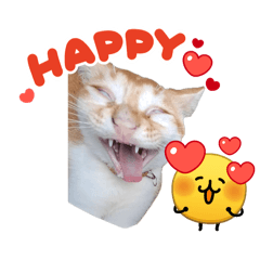 Chimeng