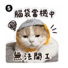 嚕哥不想上班