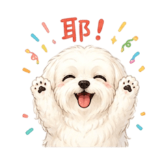 非球不可^_^
