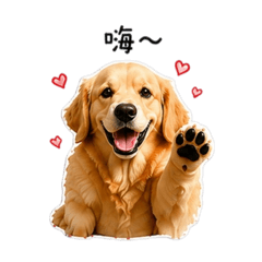 黃金獵犬寶貝蛋堡