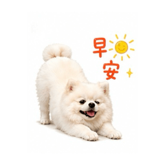 小嘟比寶貝