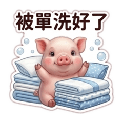 小豬專屬2