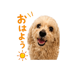 ymd_20260506073414