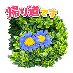 bobo_16