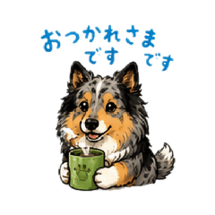 tomopyy_20260506142746