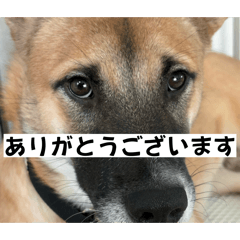 KAMA KAMA_20260506151106