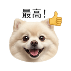 una_chusin_20260506151702