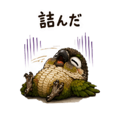 Riona_20260506151442