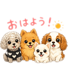 IMR_20260506070354