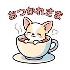 Adorable Chihuahua Life