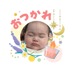 napo_20260506152229