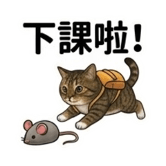 ECSwallowCats - SiSi喵上學001