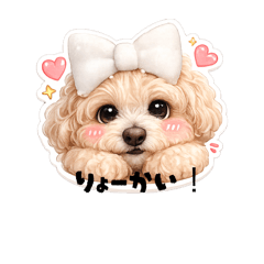 mopooh_20260506152800