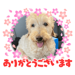 Mikan_20260506152135