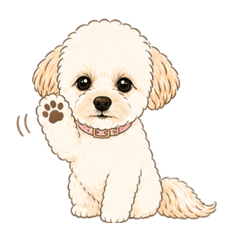 mix_dog_kinako