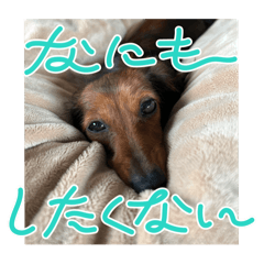 Tmky0923_20260506151926