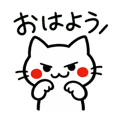 Mischievous White Cat: Daily Greetings