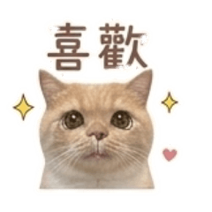肉肉的肉泥