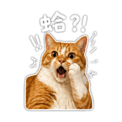 我叫小茶