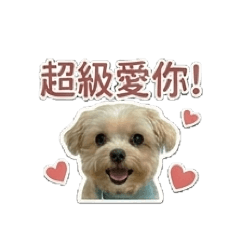 我家meimeiㄉ表情包